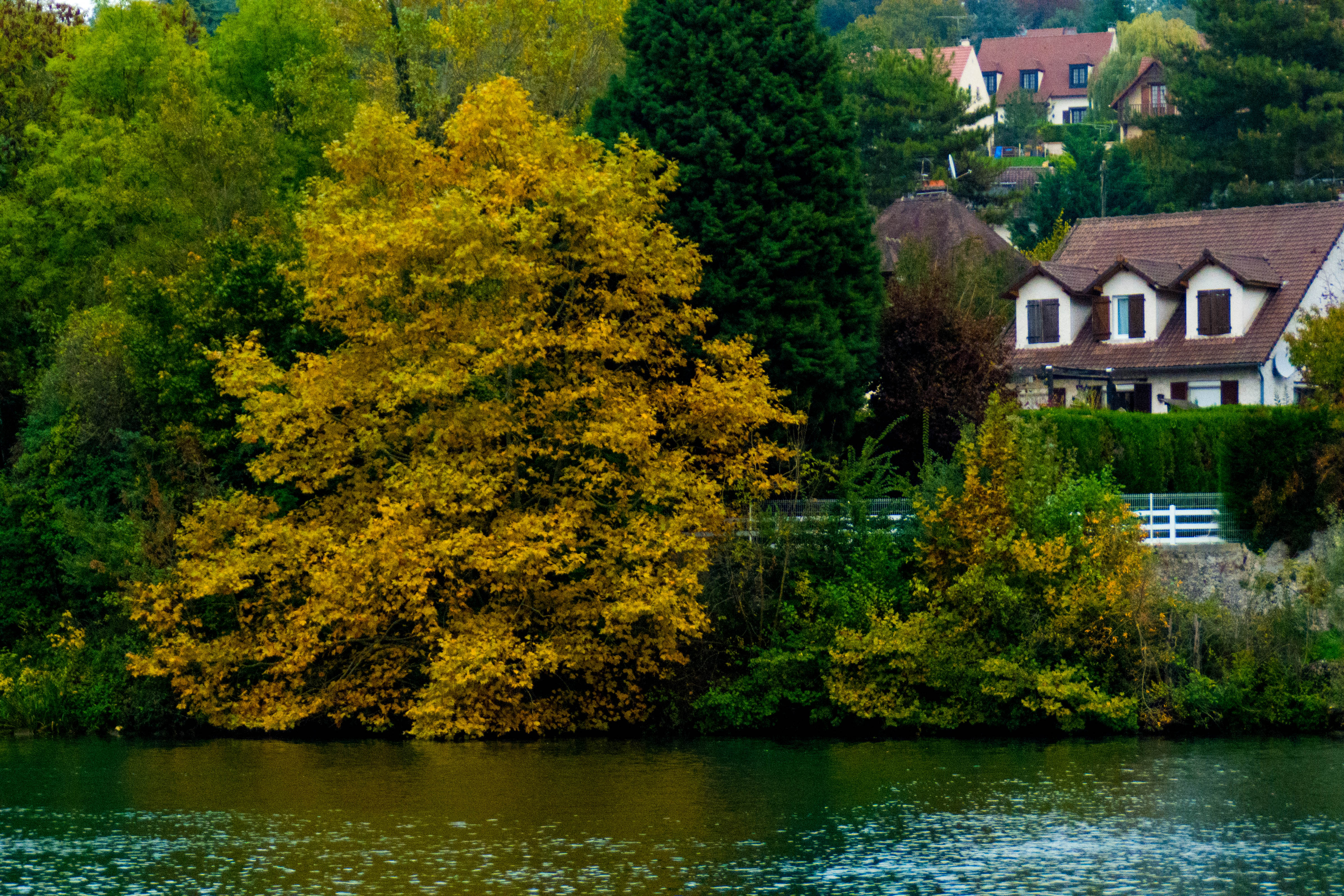 Saintry-sur-Seine, Ile-de-France