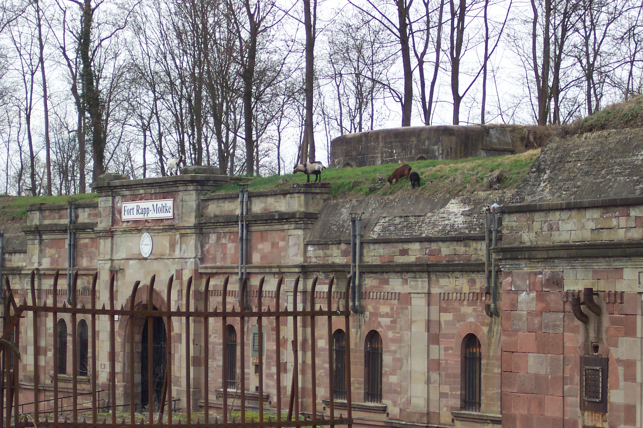 Reichstett, Grand Est