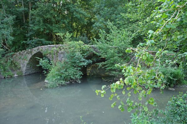 Sainte-Marie-aux-Chênes photo 3