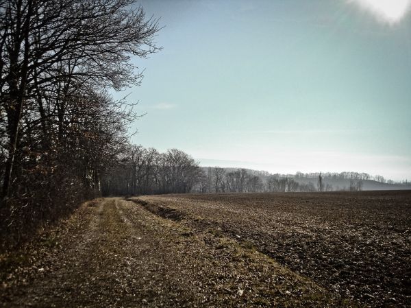 Thoiry photo 2
