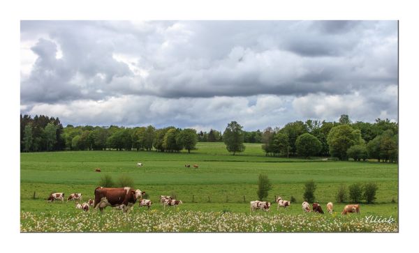 Poligny photo 4