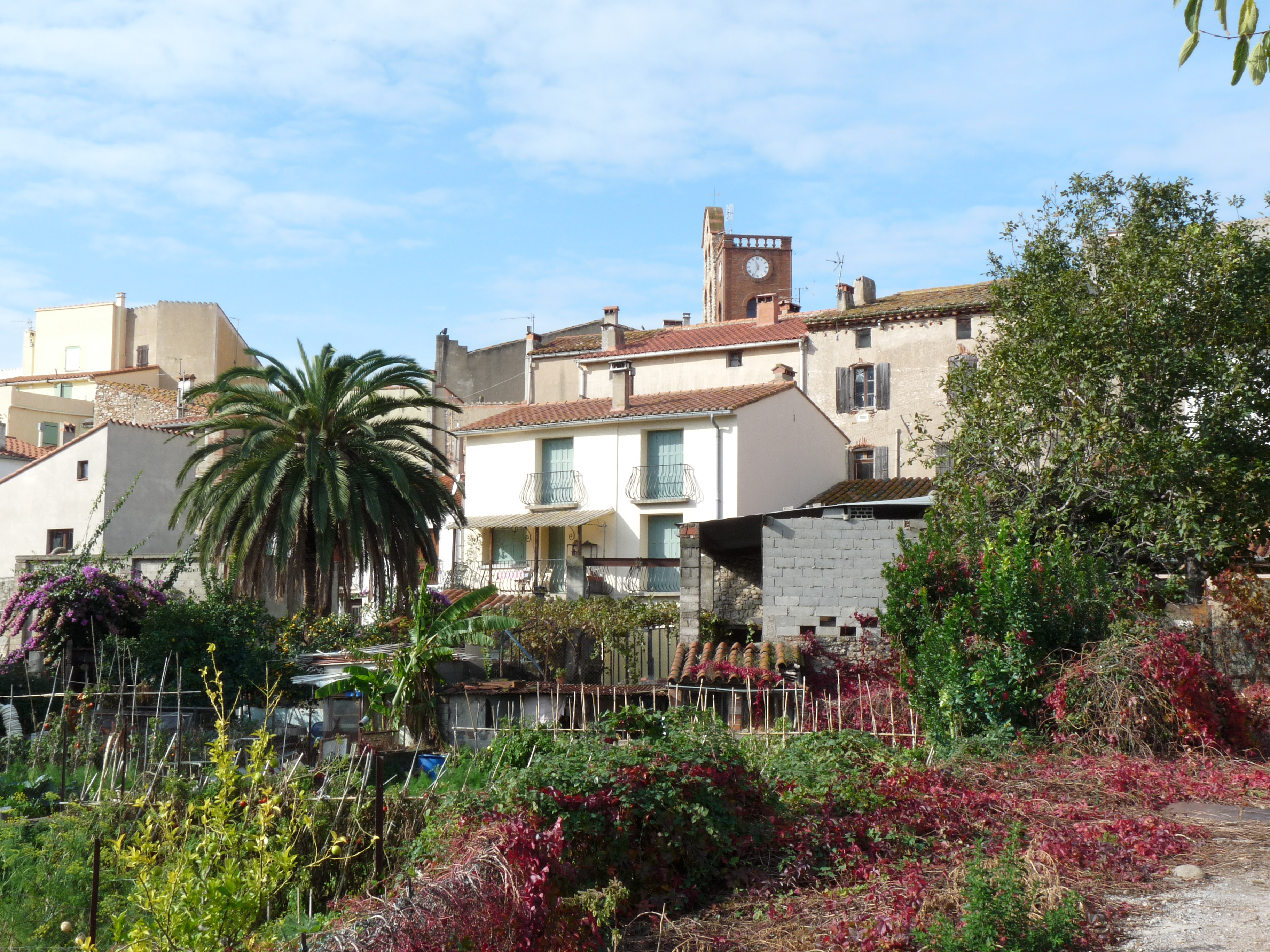Sorède photo 2