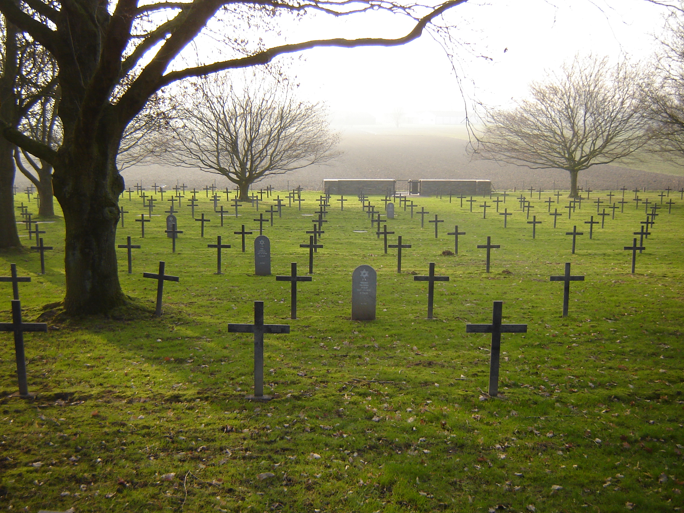 Wervicq-Sud photo 3
