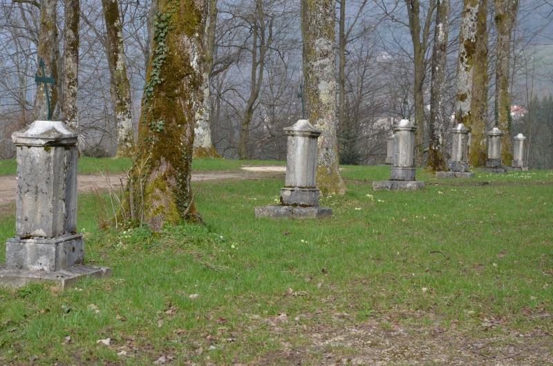 Saint-Laurent-du-Pont photo 2