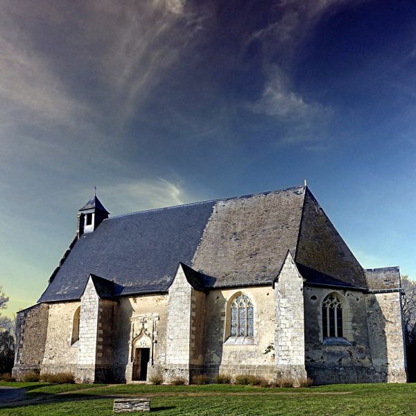 Segré photo 4