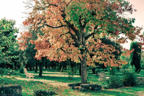 Sorgues photo 4