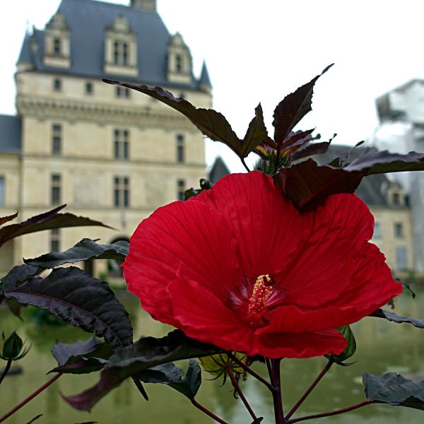 Valençay photo 4