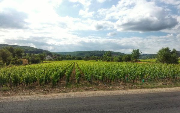 Marsannay-la-Côte, Bourgogne-Franche-Comte