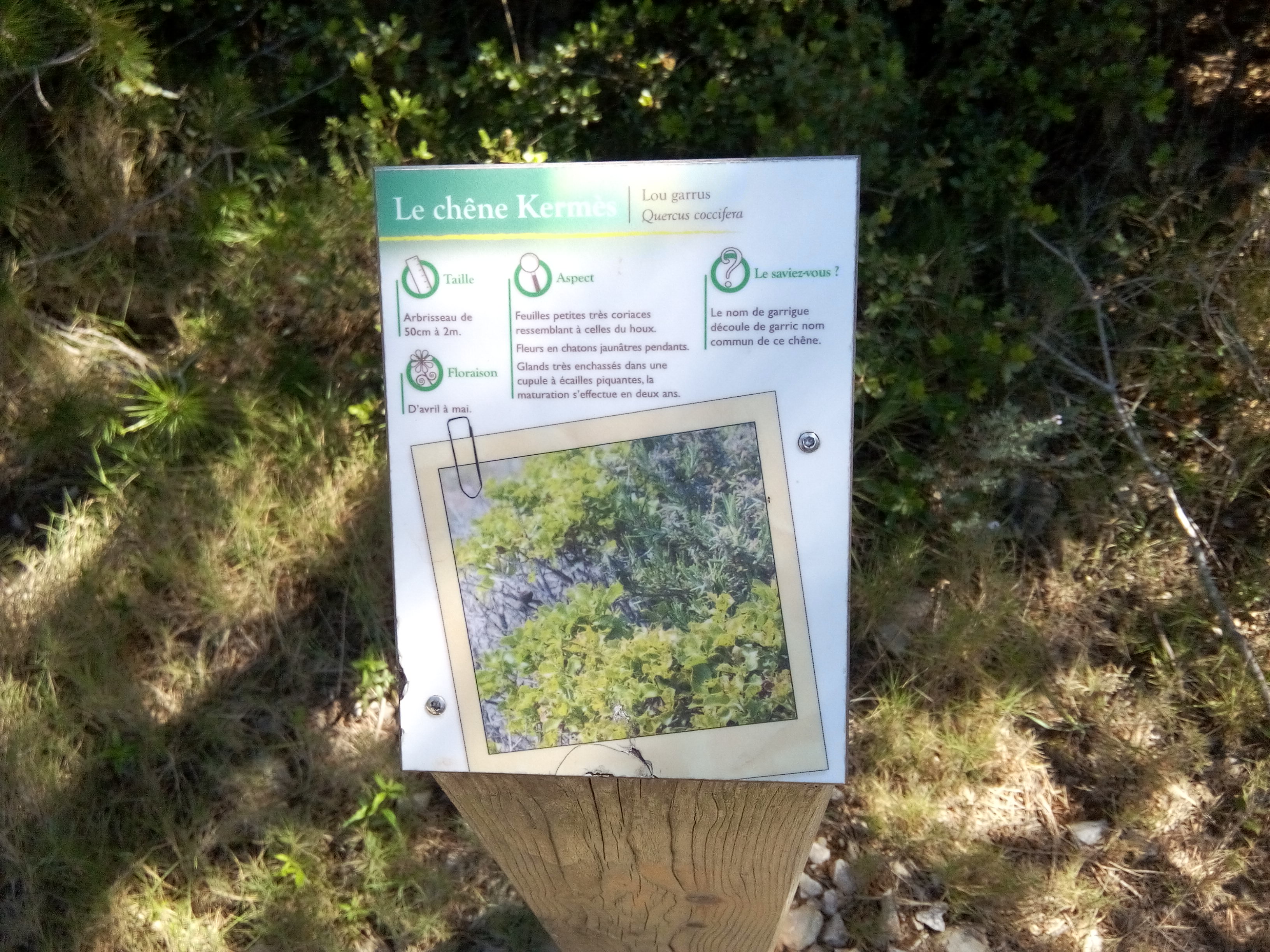 Sausset-les-Pins photo 4