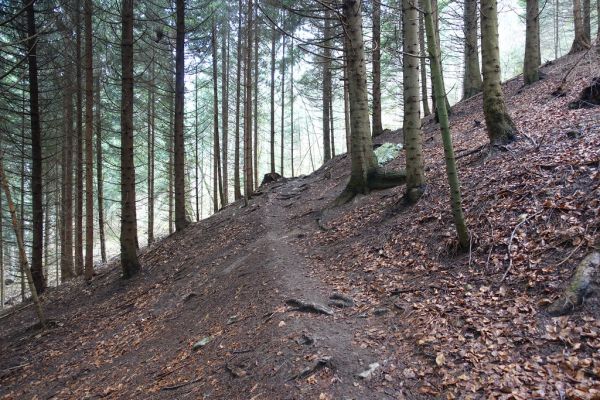 Mont Rampignon, Auvergne-Rhone-Alpes