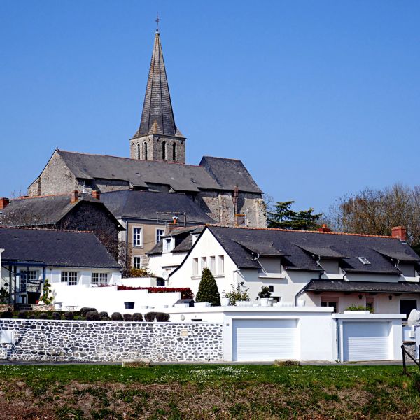 Segré photo 3