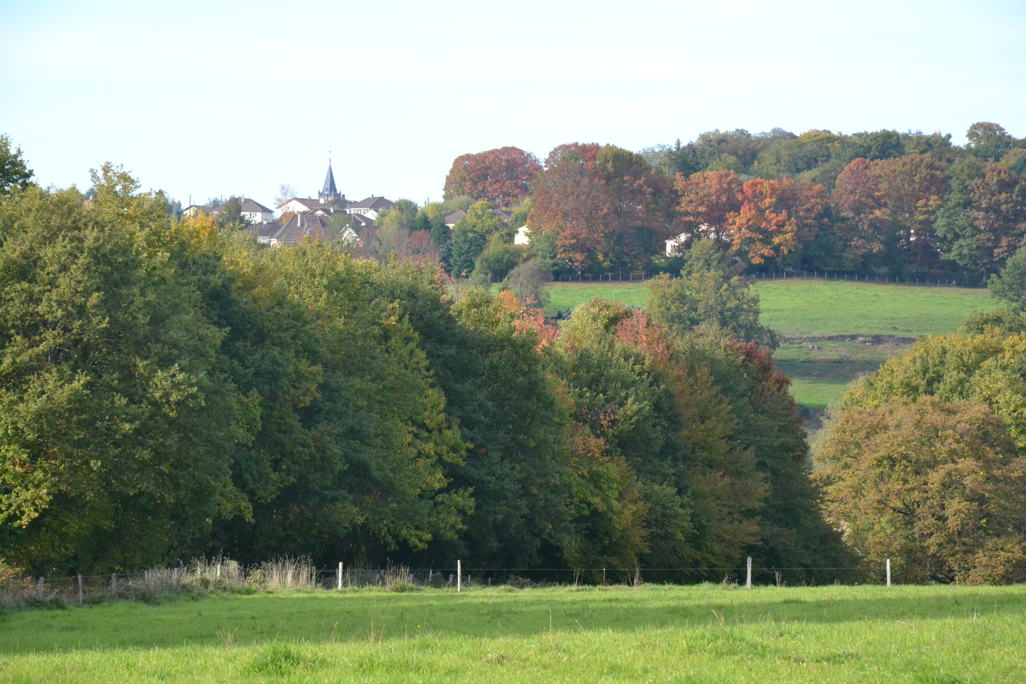 Verneuil-sur-Vienne photo 4