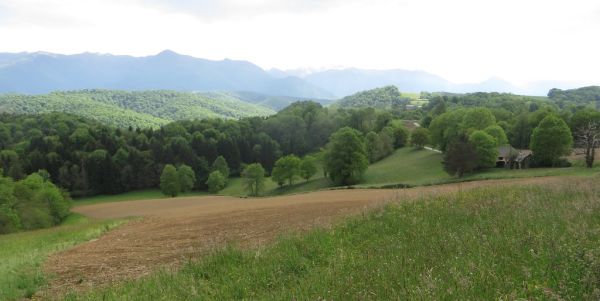 Le Montaud, Occitanie
