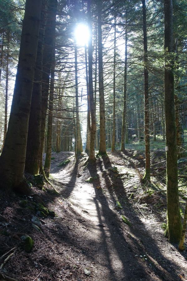 Mont Rampignon photo 4