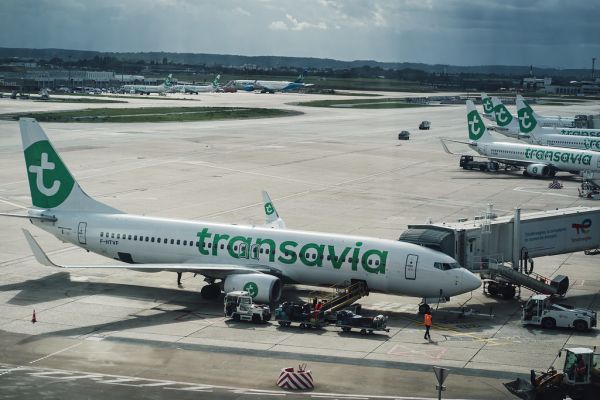 Orly photo 3