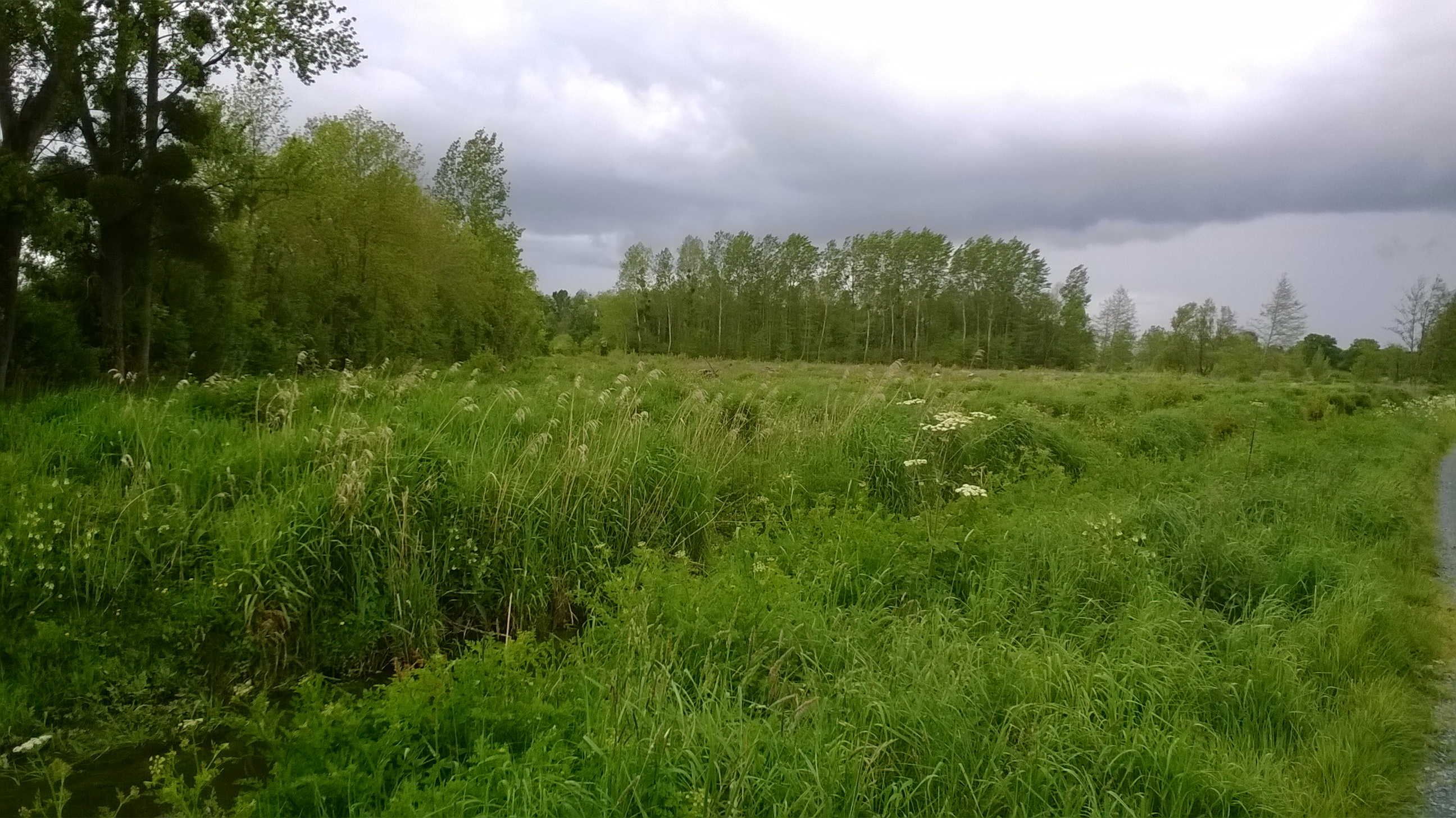 Saint-Gildas-des-Bois photo 3