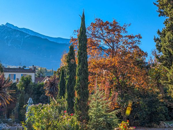 Prades photo 2