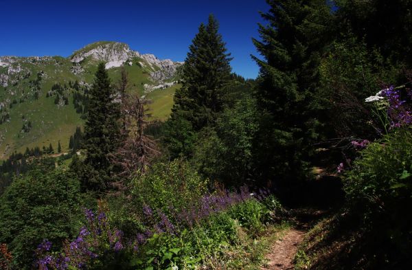 Le Linleu, 00