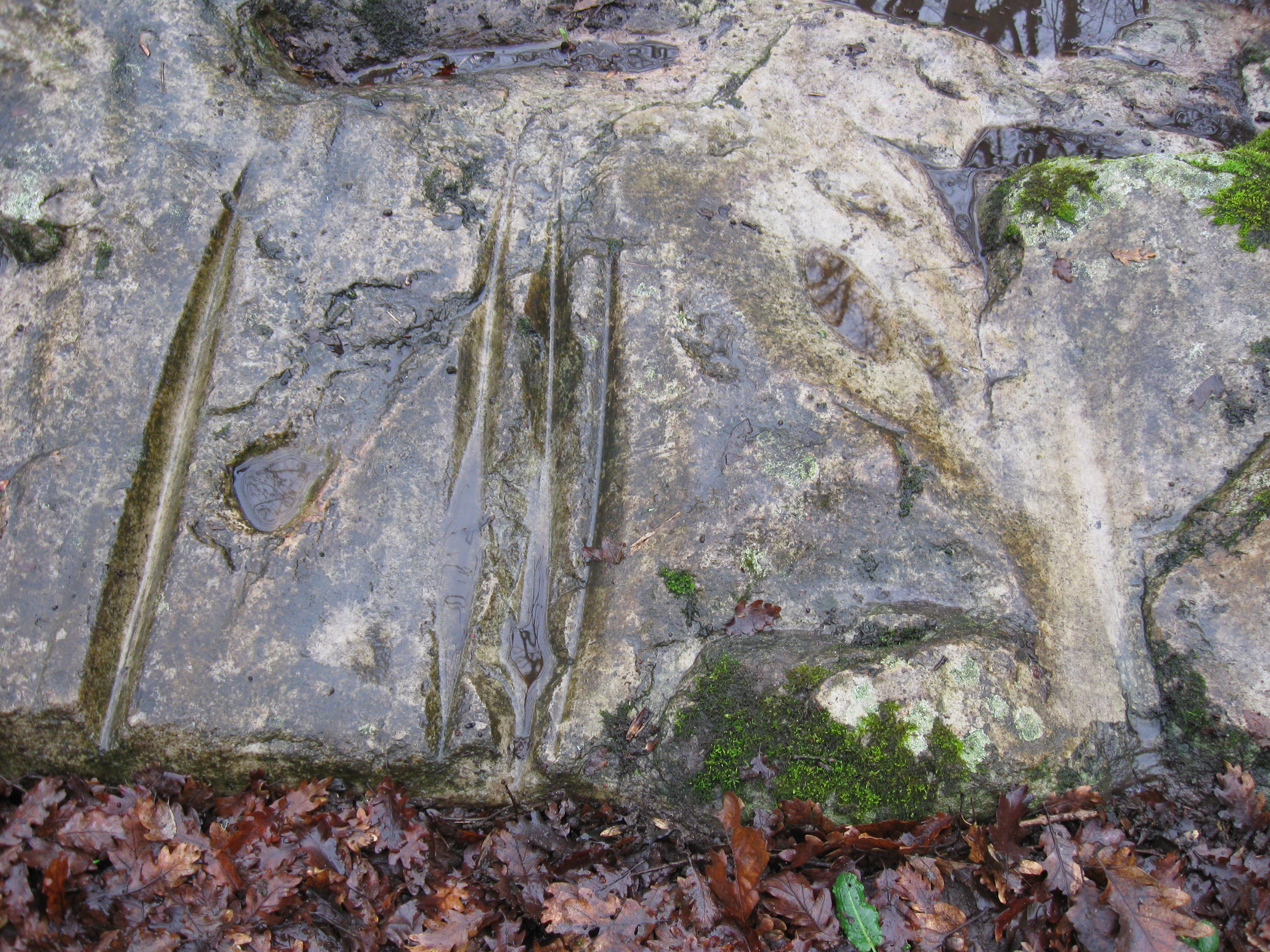Souppes-sur-Loing photo 3