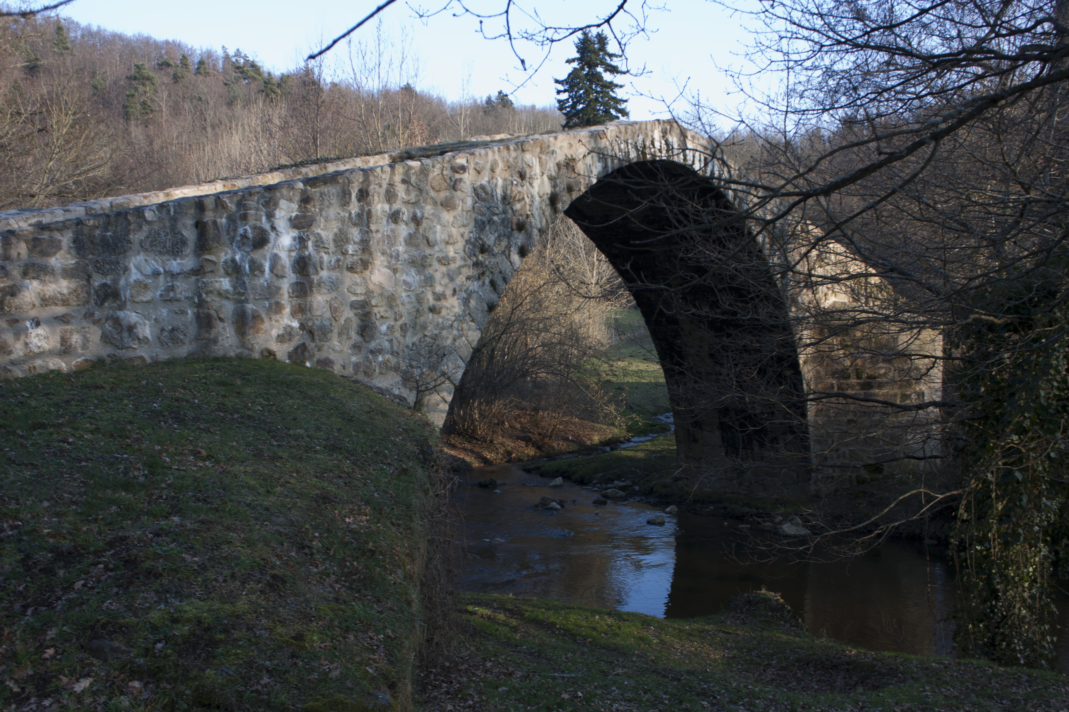 Saint-Marcellin-en-Forez photo 4