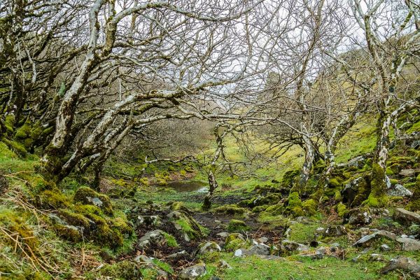 River Isla, Scotland