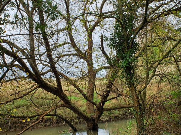 River Tone, England