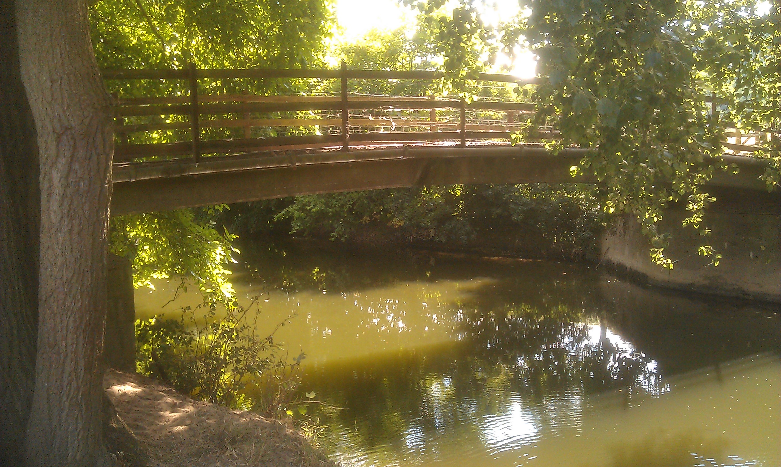 River Mole, England