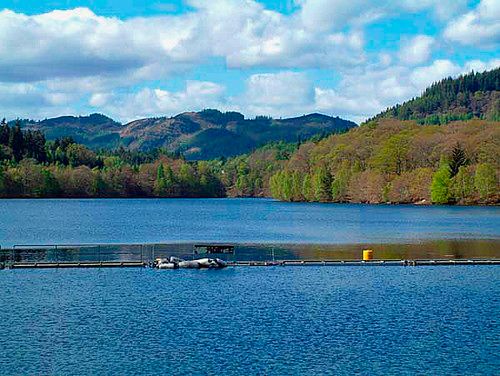 River Tummel photo 2