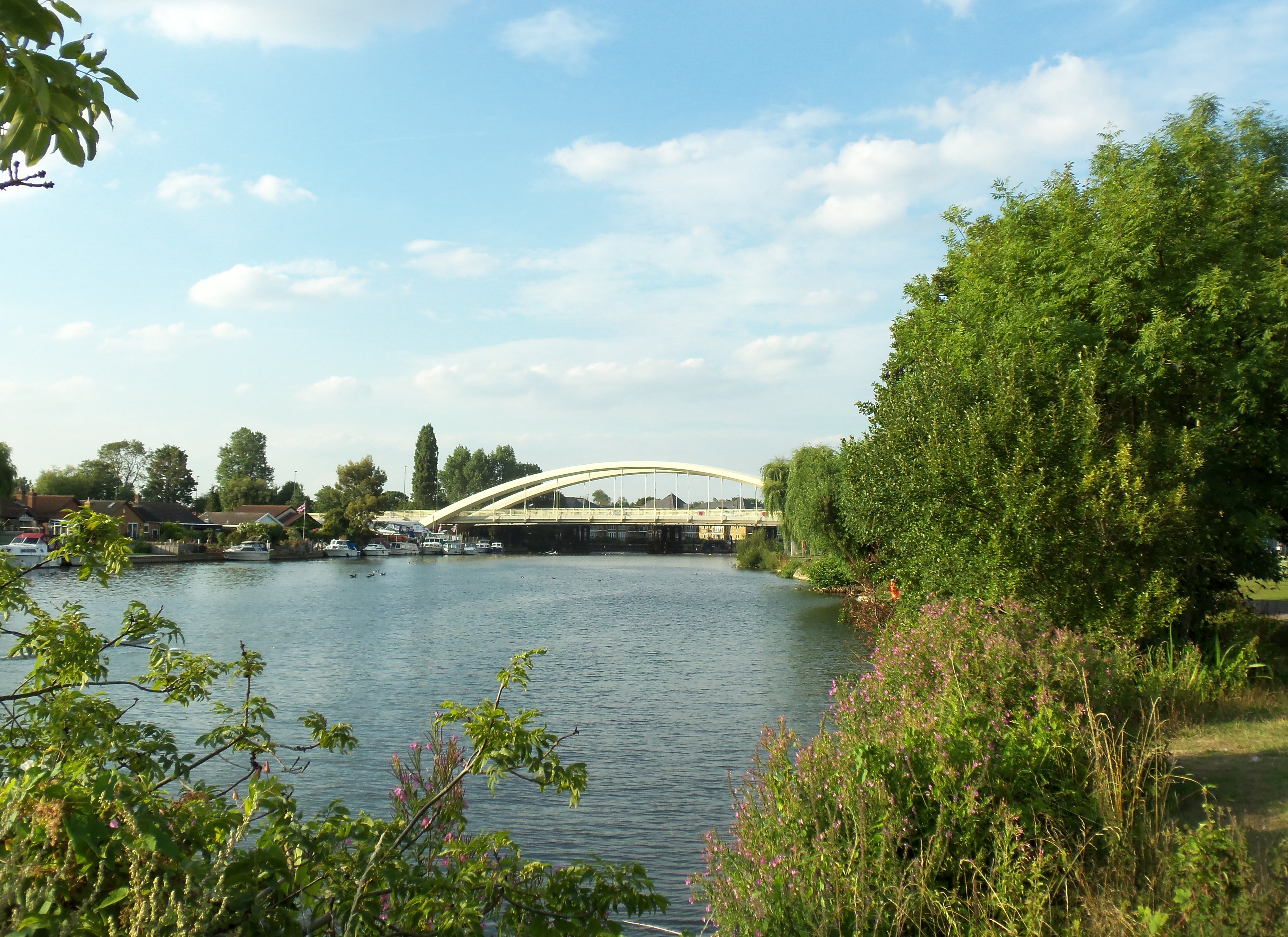 Walton-on-Thames photo 2