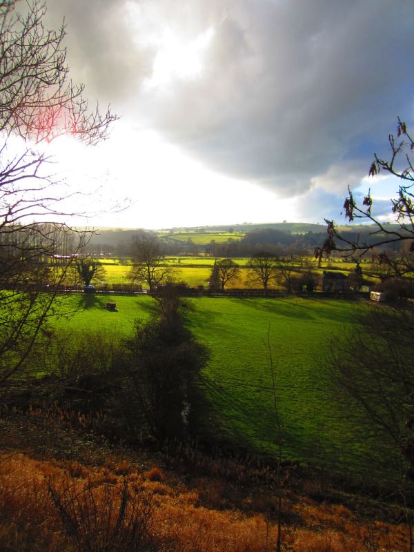 Woking photo 4
