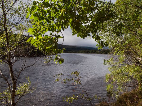 River Moriston, Scotland