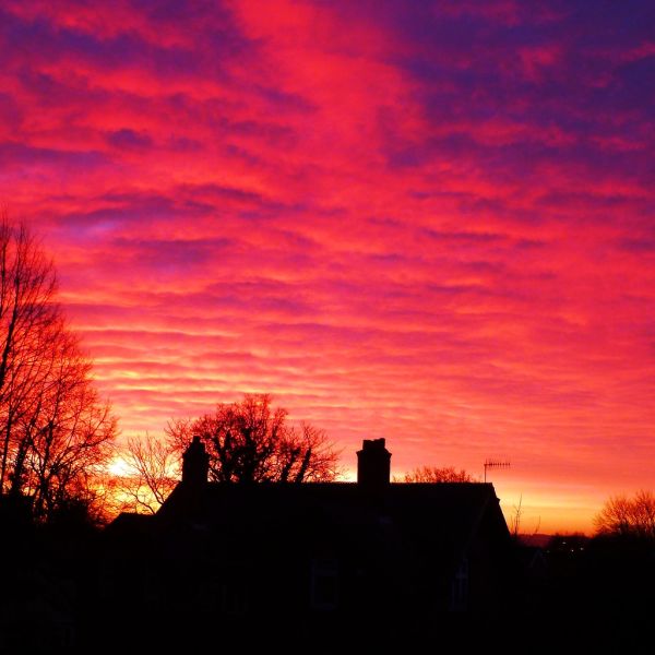 Woking, England