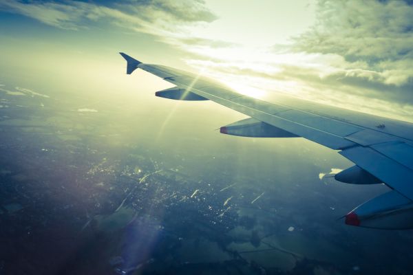 Wing photo 3