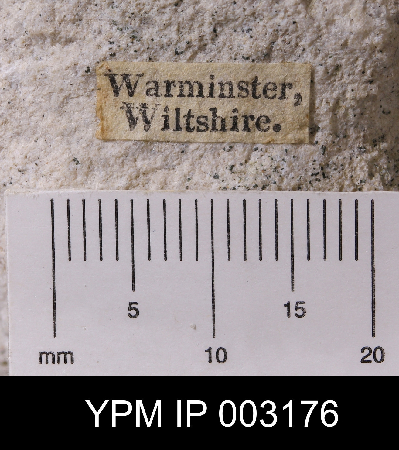 Warminster photo 3