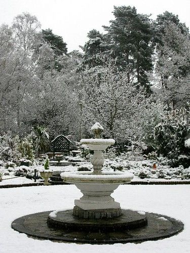 West Byfleet photo 3