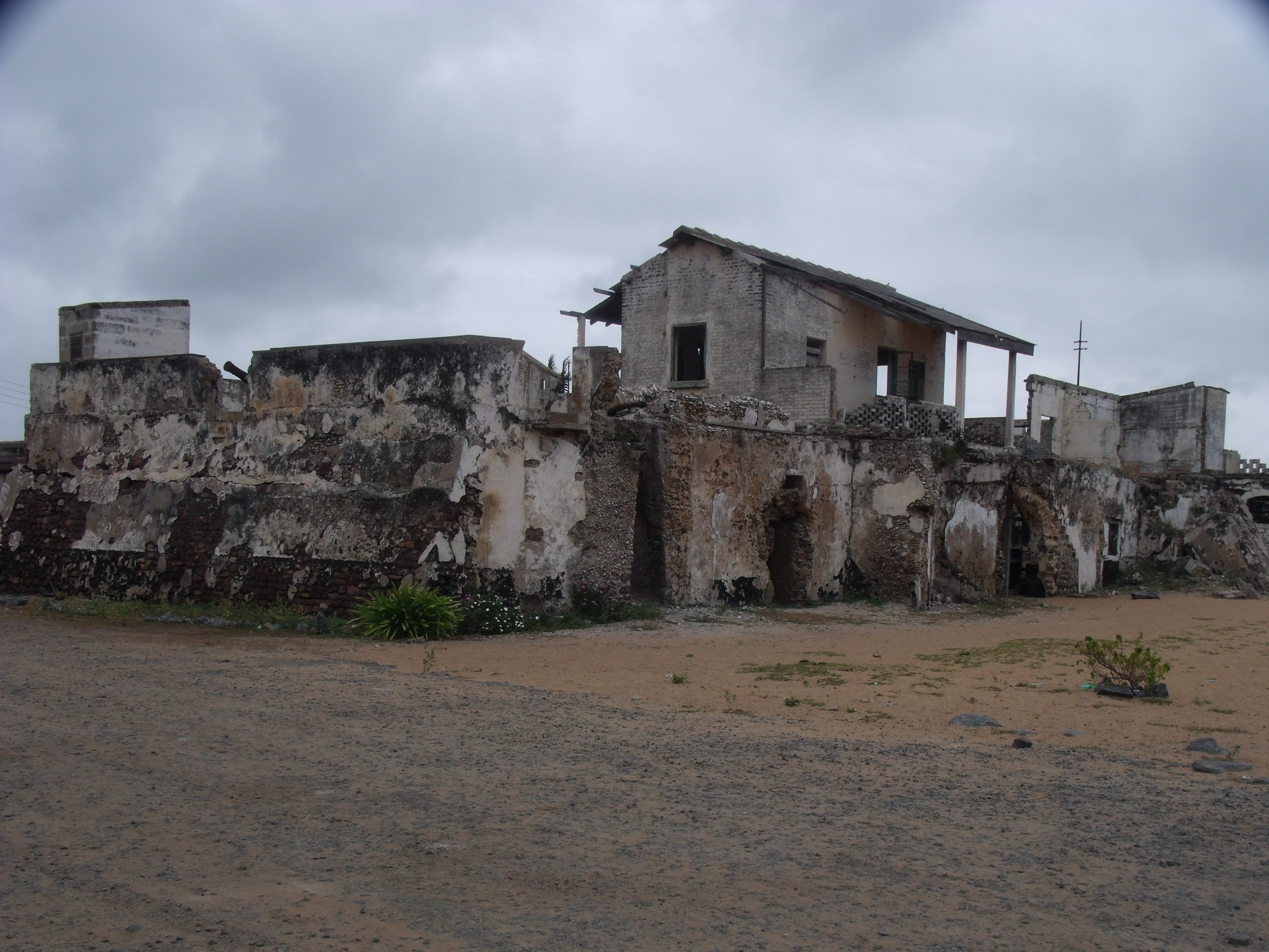 Keta photo 4