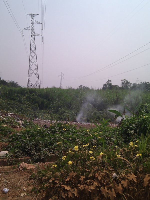 Tafo photo 2