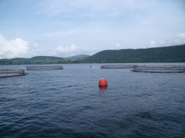 Lake Volta photo 4