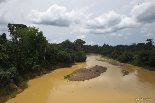 Elubo photo 4
