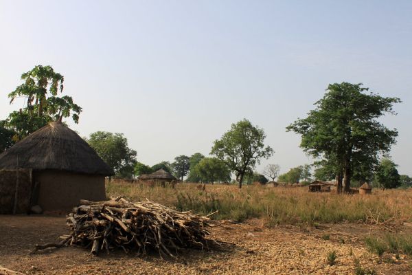 Damongo photo 2
