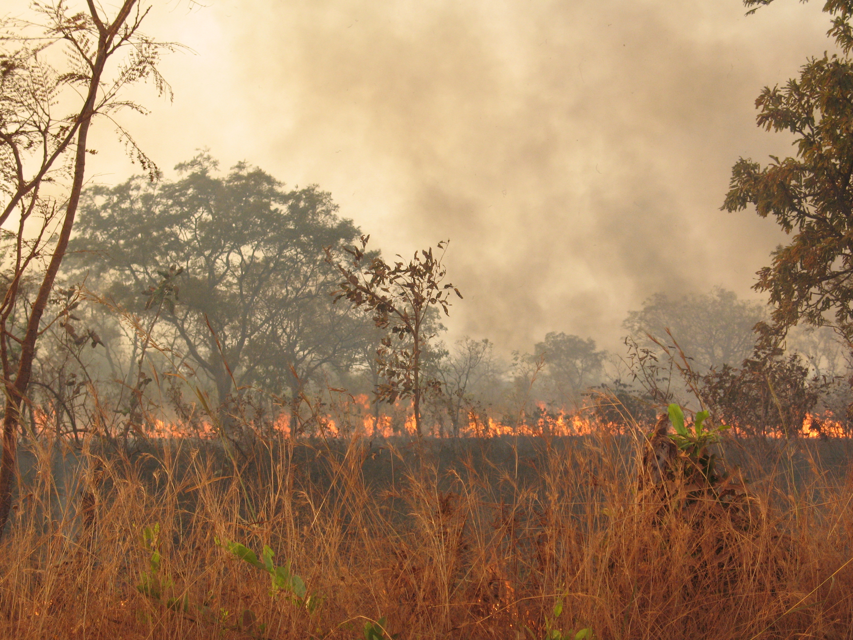 Bimbila photo 2