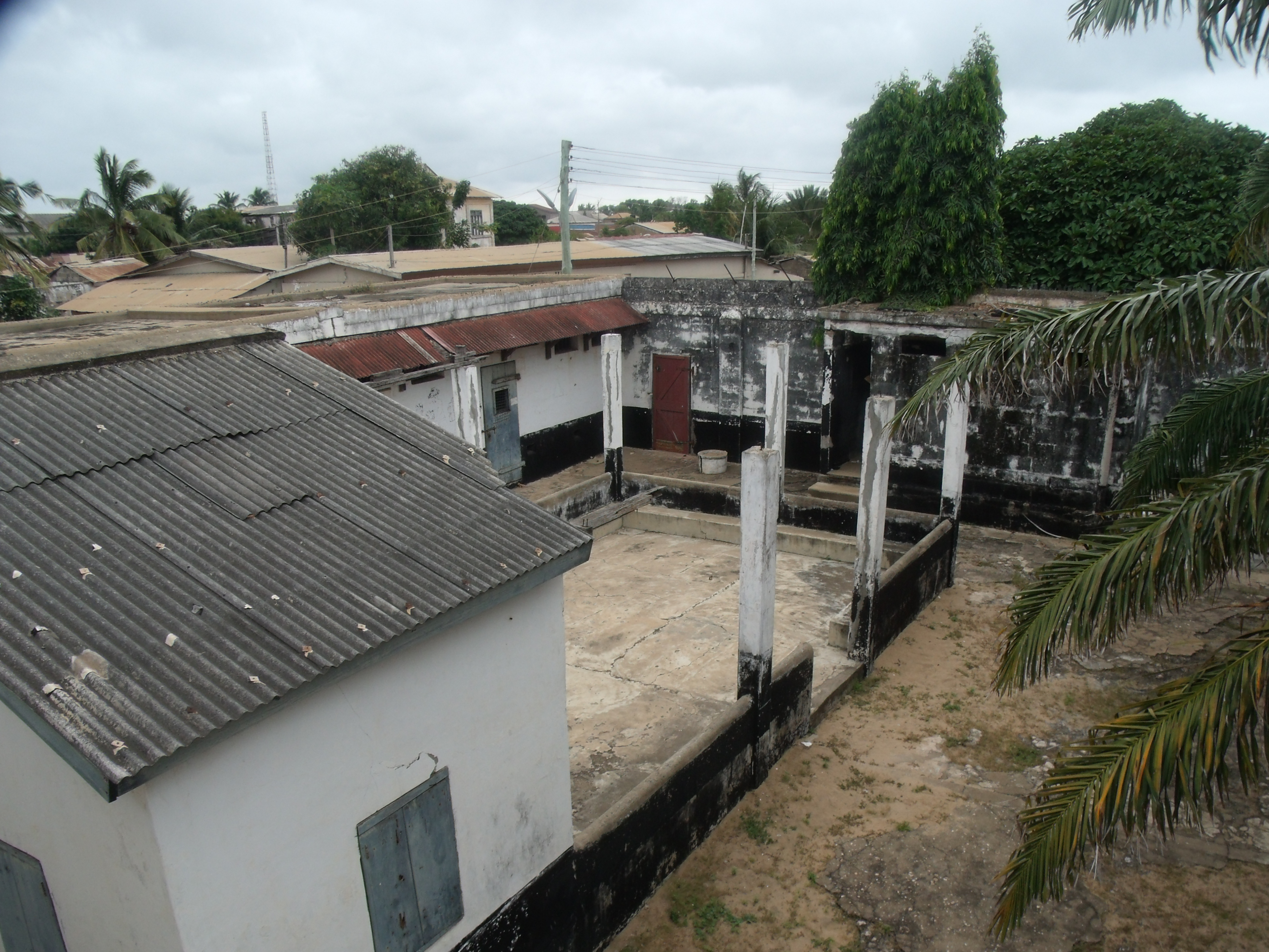 Keta photo 3