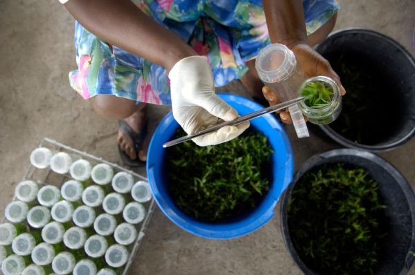 Nsawam photo 3