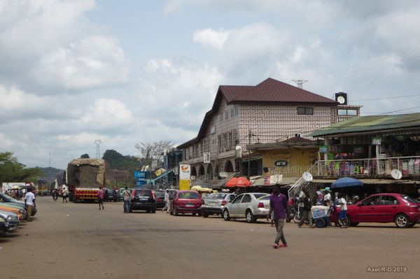 Elubo photo 3