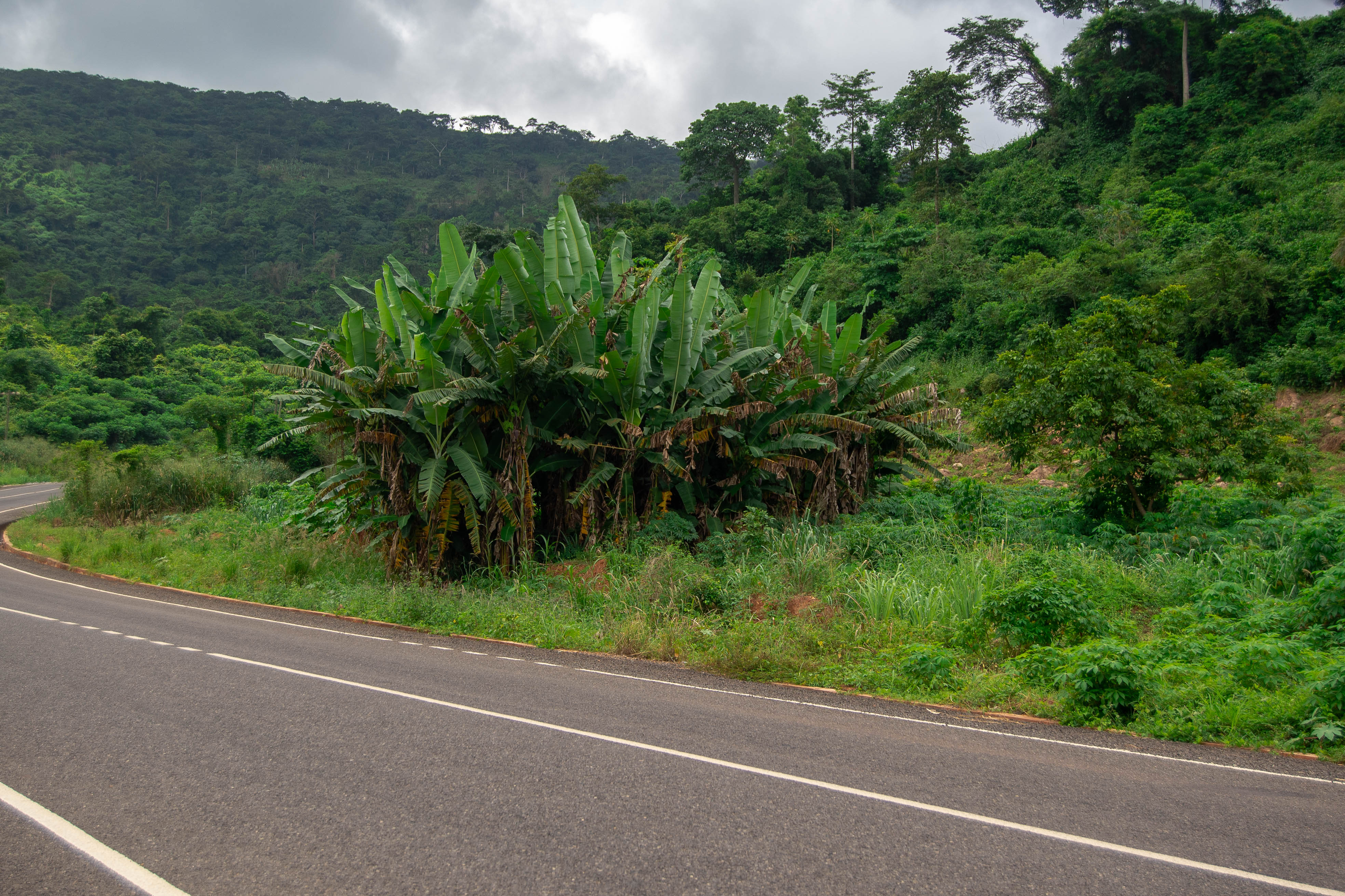 Aburi photo 2