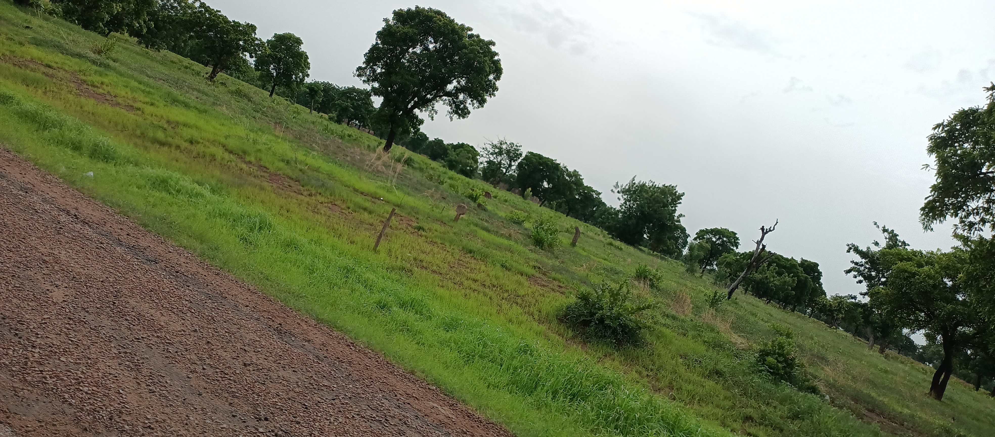 Savelugu photo 2