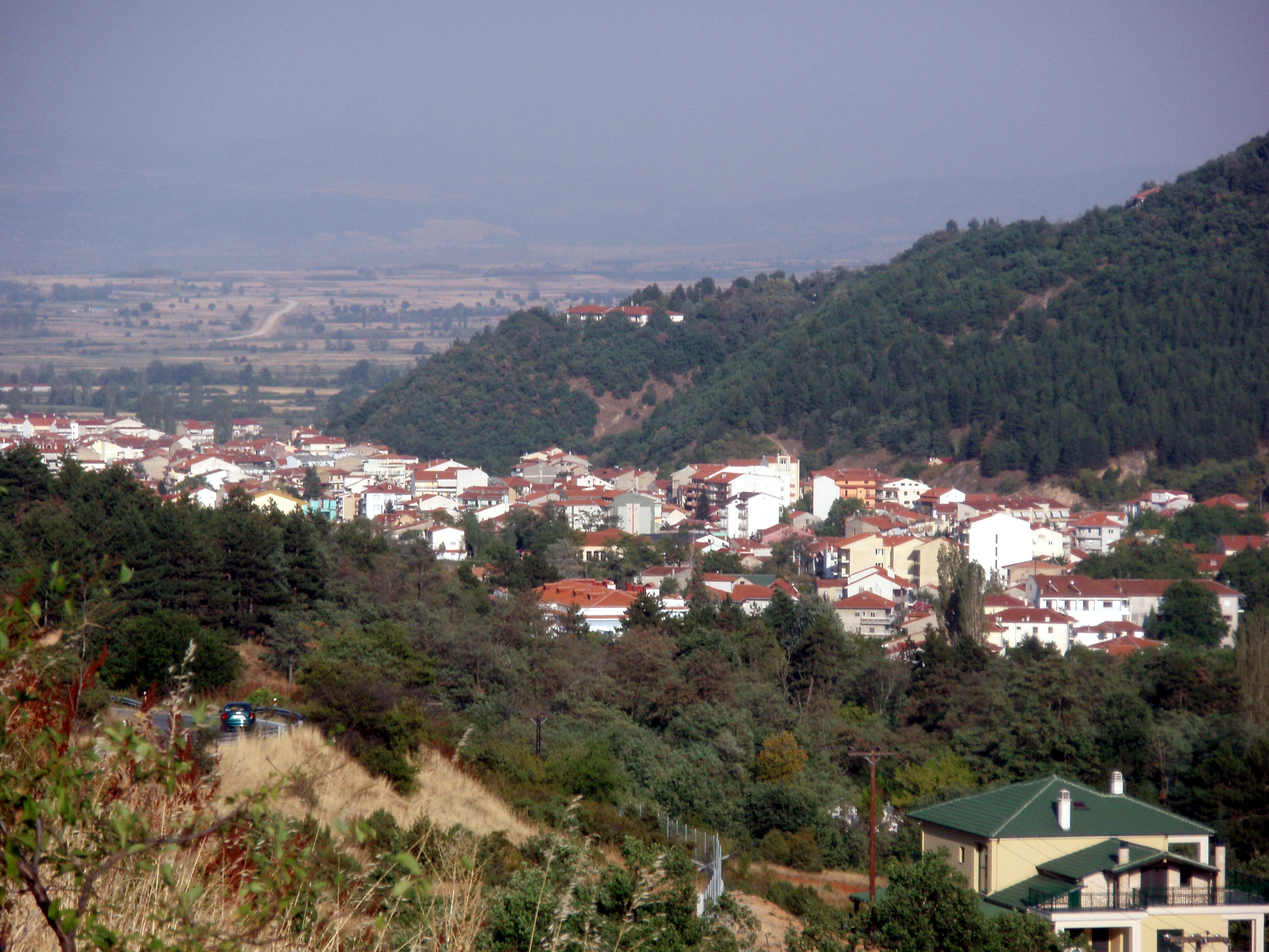 Vigla photo 2