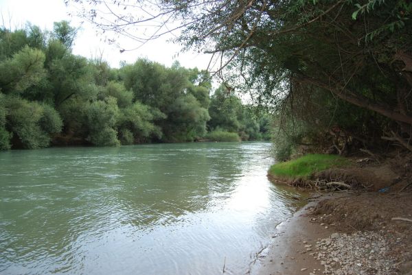 Río photo 4