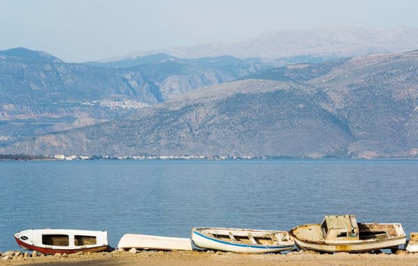 Parnassus photo 4