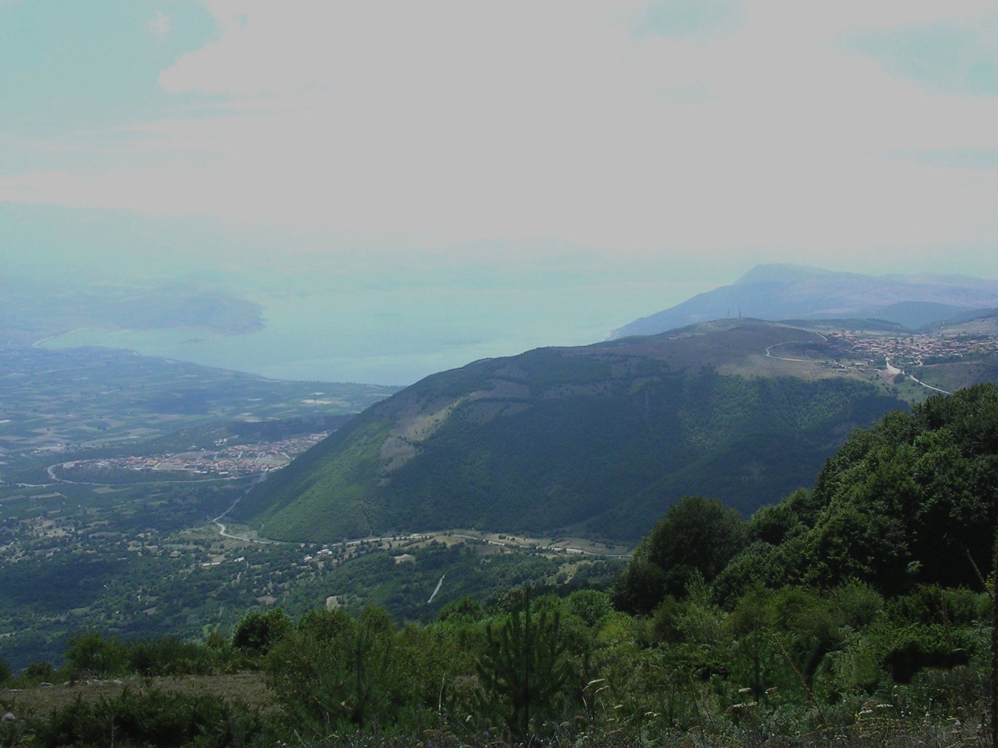 Voras photo 3